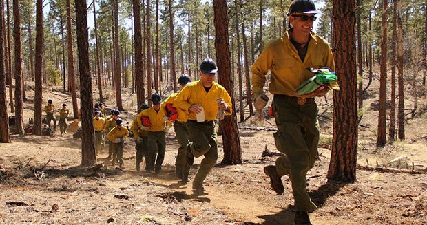 Scott Cooper drámát rendez az arizonai tűzoltókról